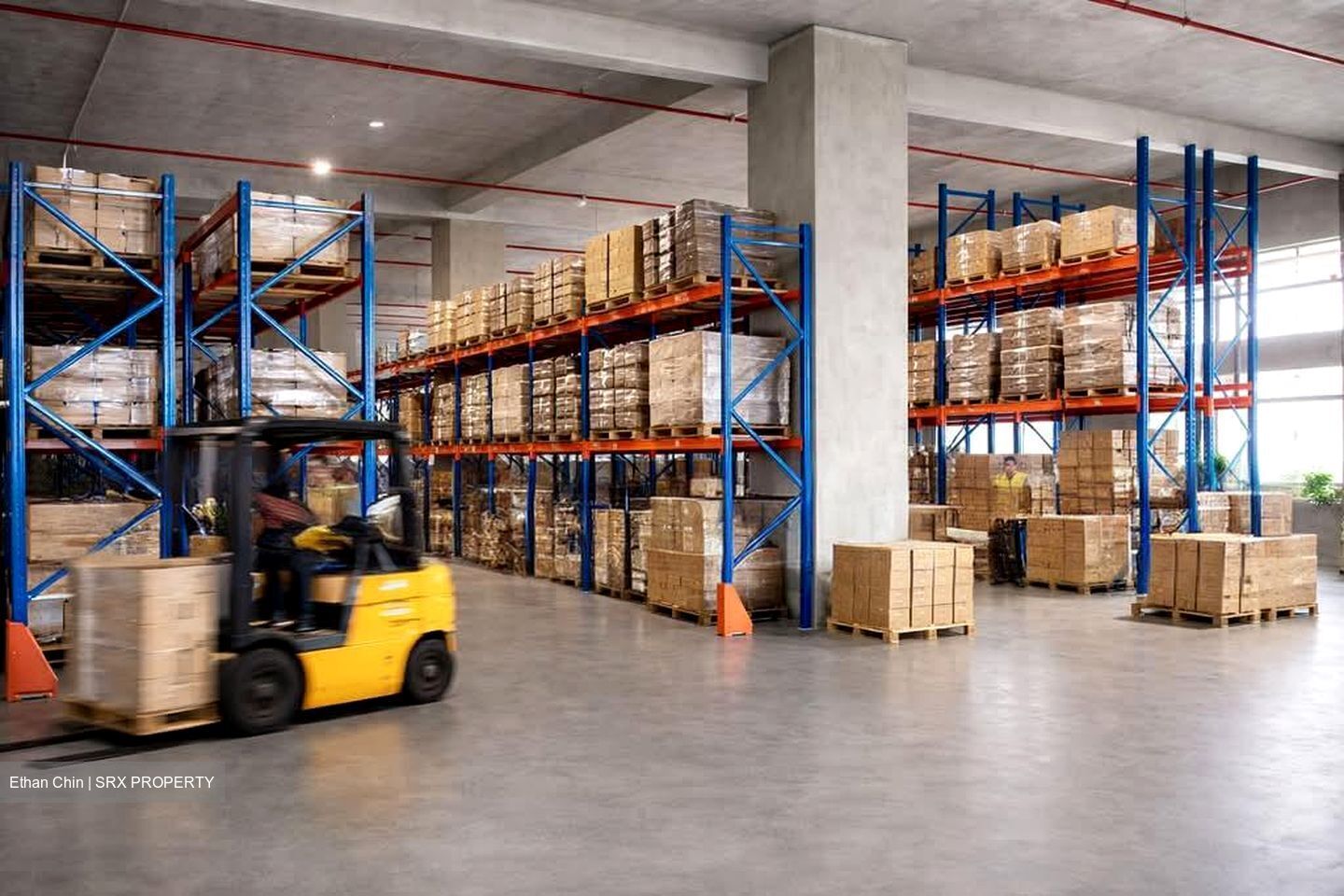 Tuas Avenue 9 (D22), Warehouse #600031691